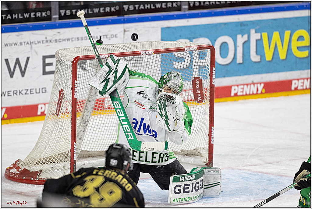 PENNY DEL;  Koelner Haie - Bietigheim Steelers; Koeln, 05.03.2023
